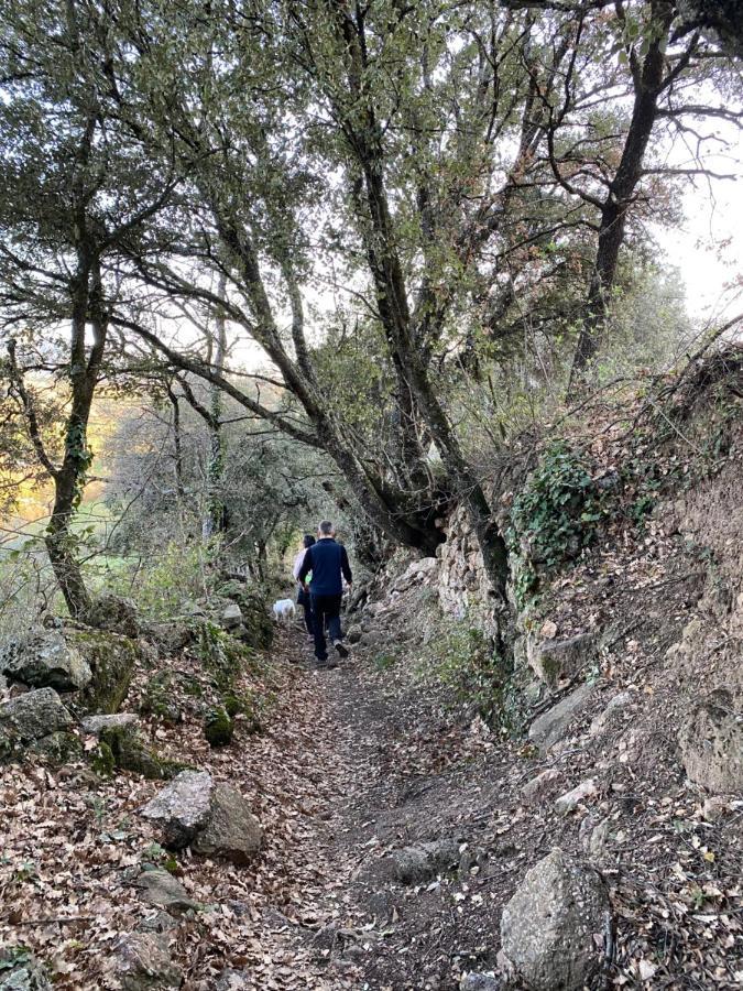 Casa Parramon Villa Peramea Dış mekan fotoğraf